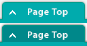 Page Top
